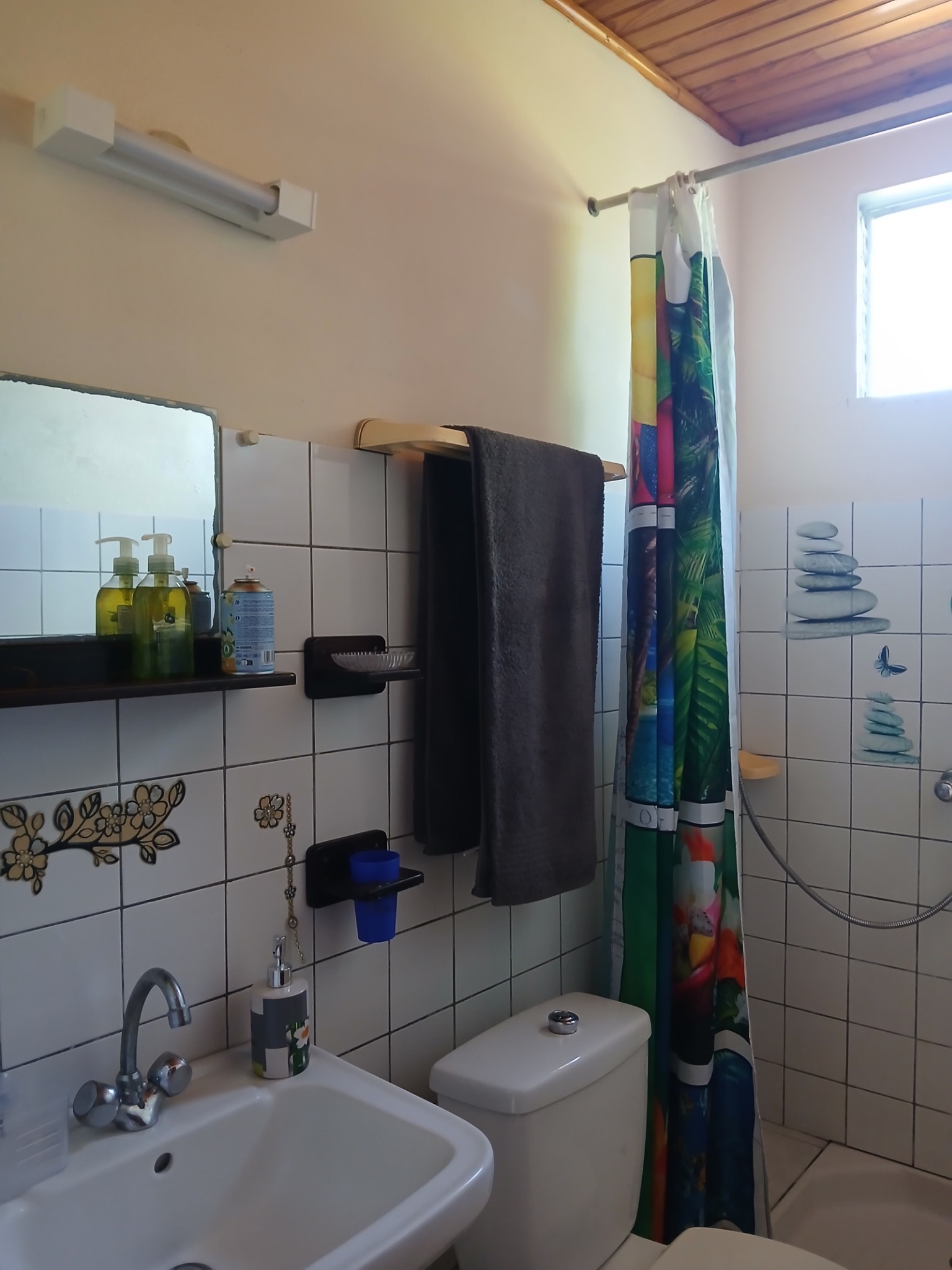 Salle d’eau du Bien Situé Dominant